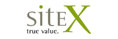 SiteX - True Value - Logo